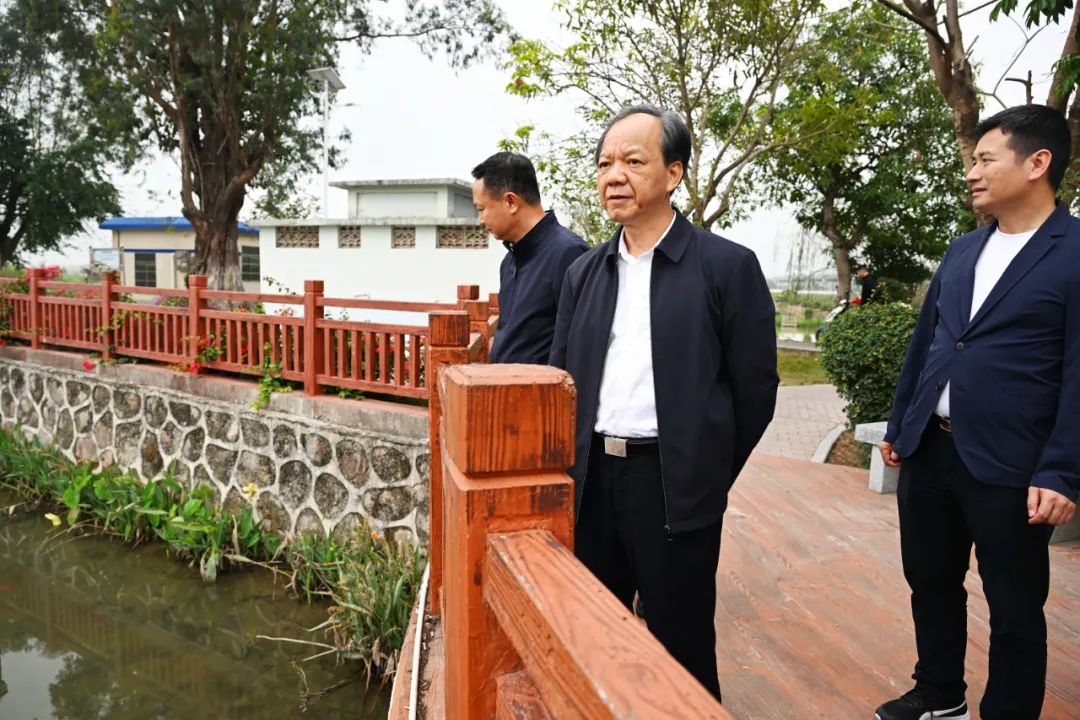 郭文海调研坦洲镇:加强高快速路沿线环境综合治理 打造