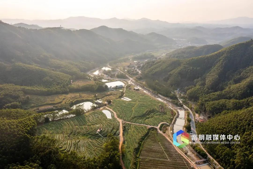 森林,峡谷,瀑布05周末来佛山吸氧吧|森林公园_新浪财经_新浪网
