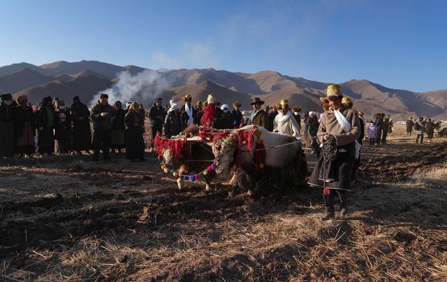 3月16日,在西藏拉萨市林周县春堆乡春耕仪式现场,农民沿袭传统,使用二