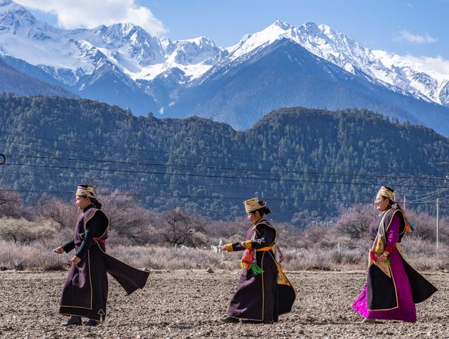 新华全媒 |春的约定——西藏农区迎来年度春耕大典
