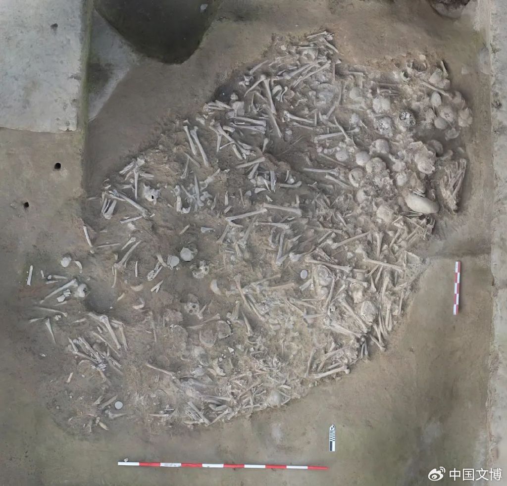 苏羊遗址仰韶文化早期人骨埋藏坑