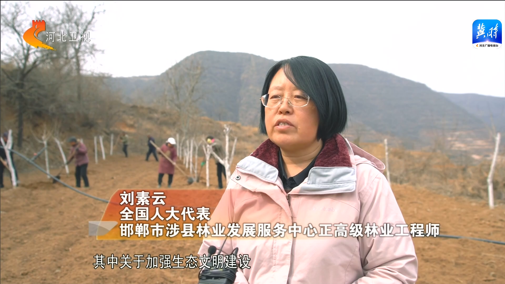 全国人大代表 邯郸市涉县林业发展服务中心正高级林业工程师 刘素云