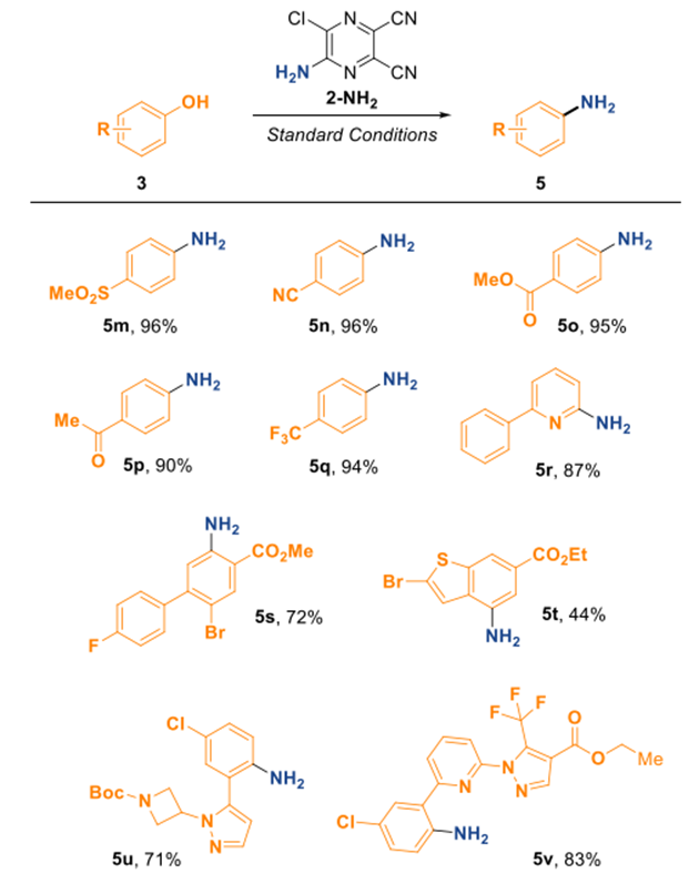 plausible mechanismc-nbond coupling is important reaction in