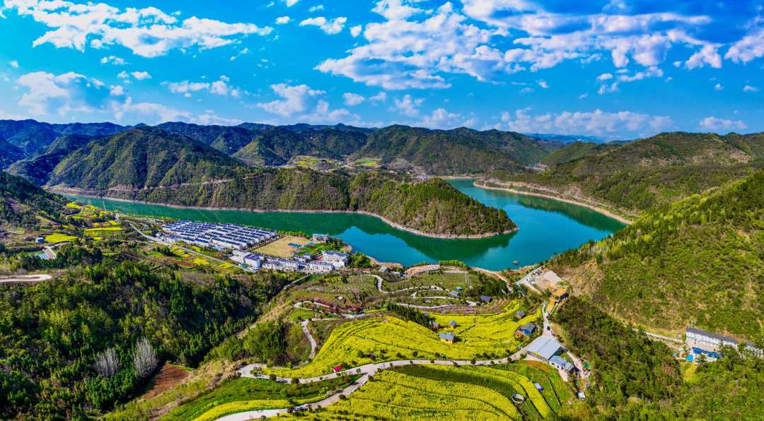 湖北十堰市张湾区:守护绿水青山 激活生态经济|湖北省_新浪财经_新浪