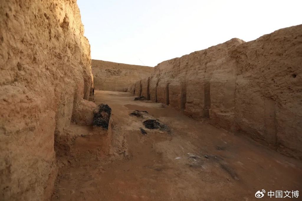 寨塬盖核心区远眺寨塬盖夯土建筑遗址寨沟遗址聚落结构示意图遗址核心