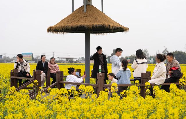 3月17日,在四川省绵阳市安州区秀水镇,游客在油菜花海中休闲。新华社记者 江宏景 摄