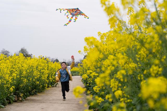 3月17日，在四川省绵阳市安州区秀水镇油菜花海中，小朋友在放风筝。新华社记者 江宏景 摄