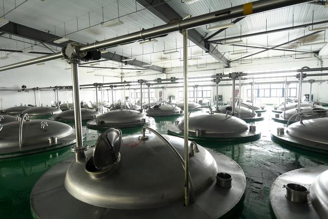 3月15日，在位于绍兴市柯桥区的会稽山绍兴酒股份有限公司，糯米在黄酒智能化酿造系统内进行前发酵。新华社记者 翁忻旸 摄