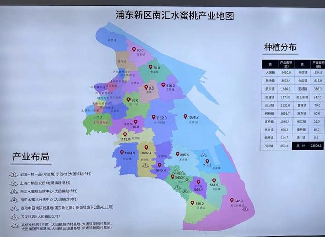 今年,通过财政资金配套,大团镇赵桥村,果园村,团西村等主要种植区域