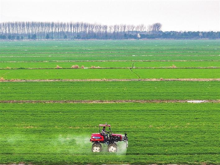 新一轮千亿斤粮食产能提升如何发力|粮食安全_新浪财经_新浪网