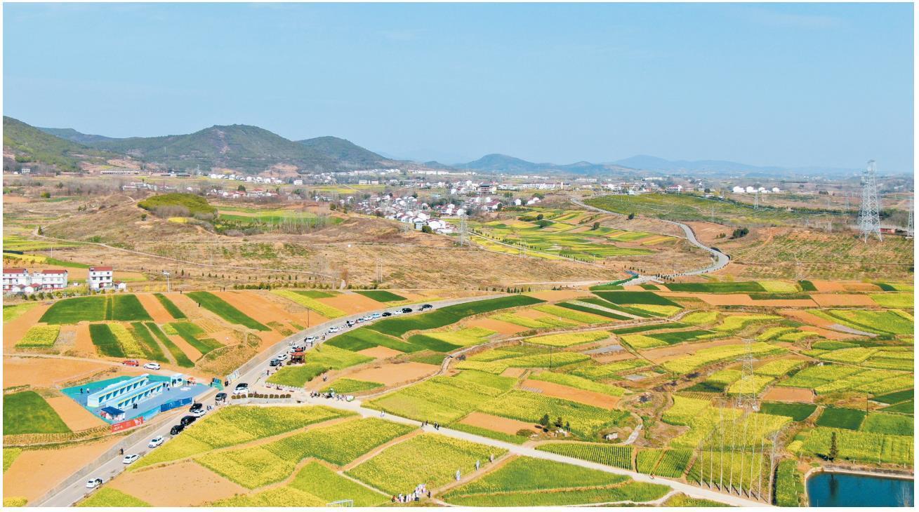 2024最美油菜花海汉中旅游文化节侧记|文化节_新浪财经_新浪网