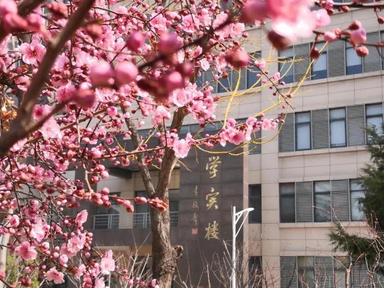 山东多所大学"开园",高校春日攻略在此!|山东省_新浪财经_新浪网