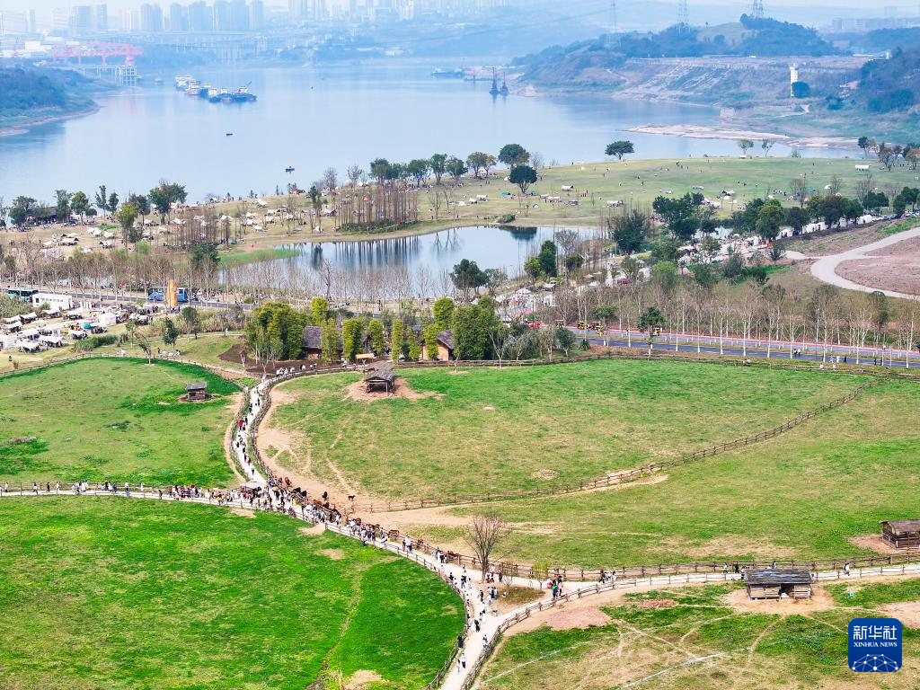 这是3月16日拍摄的重庆广阳岛春日景象(无人机照片).