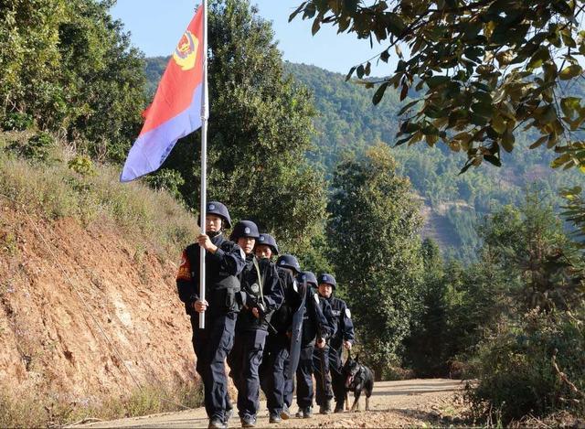 身怀绝技智勇双全,带你探秘缉毒犬养成_新浪财经_新浪网