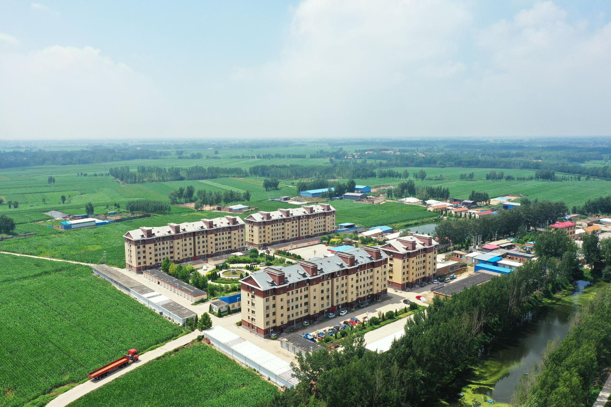 "巧梳妆"扮靓乡村"高颜值"阜城县扎实推进和美乡村建设系列报道之二