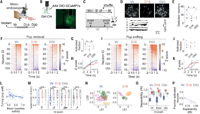 DOI:10.1126/science.adi0576