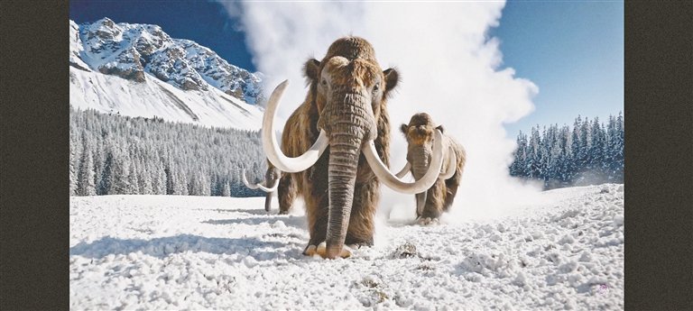 巨大的猛犸象在雪地上行走。（Sora生成视频截图）