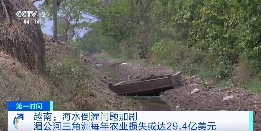 这里,遭遇严重海水倒灌!警告发布