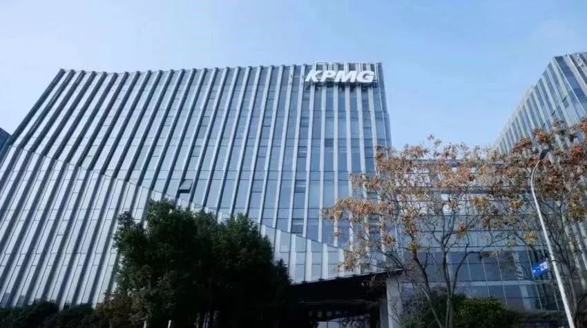 只因为……|毕马威_新浪财经_新浪网