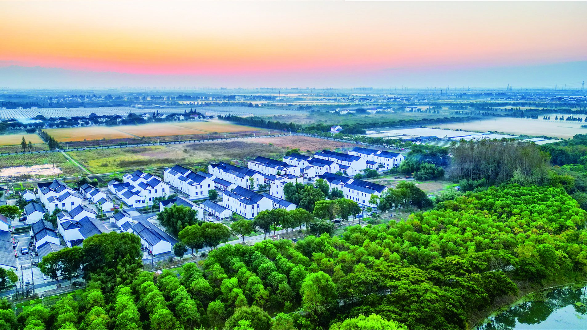 近年来,素以"花海"闻名沪上的松江新浜镇,其经济社会发展正以"多点破