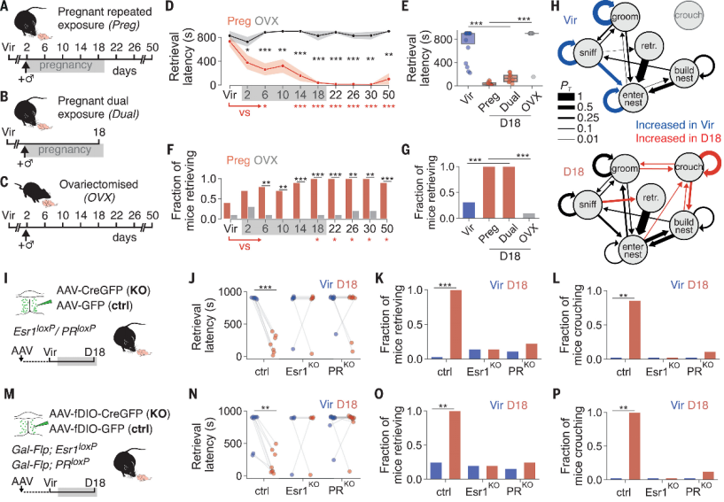 DOI:10.1126/science.adi0576