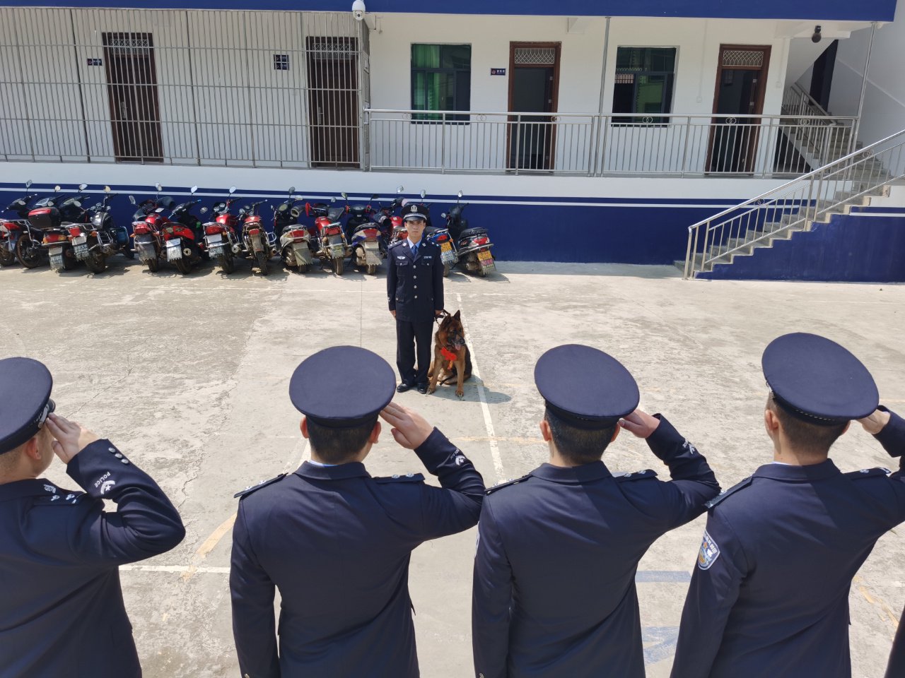 特稿199|边境"列"犬|边境_新浪财经_新浪网