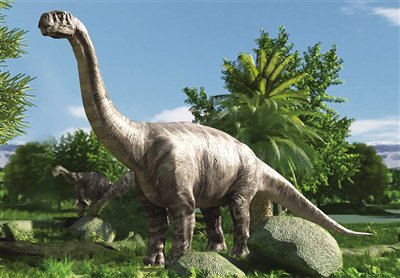 揭秘恐龙"巨无霸"|恐龙_新浪财经_新浪网