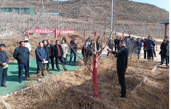 华亭:入乡镇 抓培训_新浪财经_新浪网