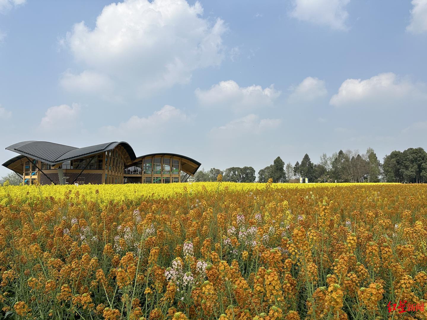 家门口尝鲜川台美食展今日在天府农博园开启