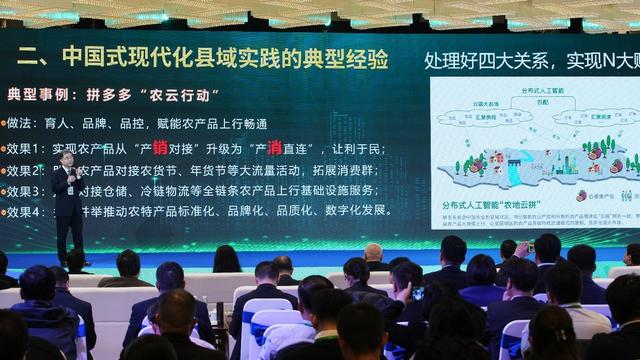 行动作为全国县域振兴典型案例入选《中国式现代化县域实践调研报告》