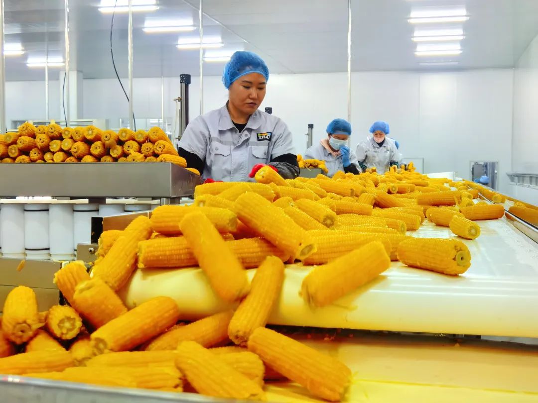 北纬四十七(克东县)绿色有机食品有限公司真空包装车间