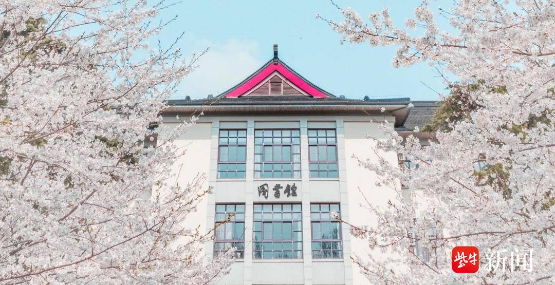 本报推出24小时不间断慢直播,邀你"云赏"南林樱花