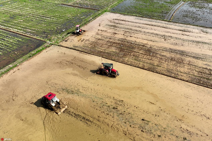 江西东乡:春分田间农事忙_新浪财经_新浪网