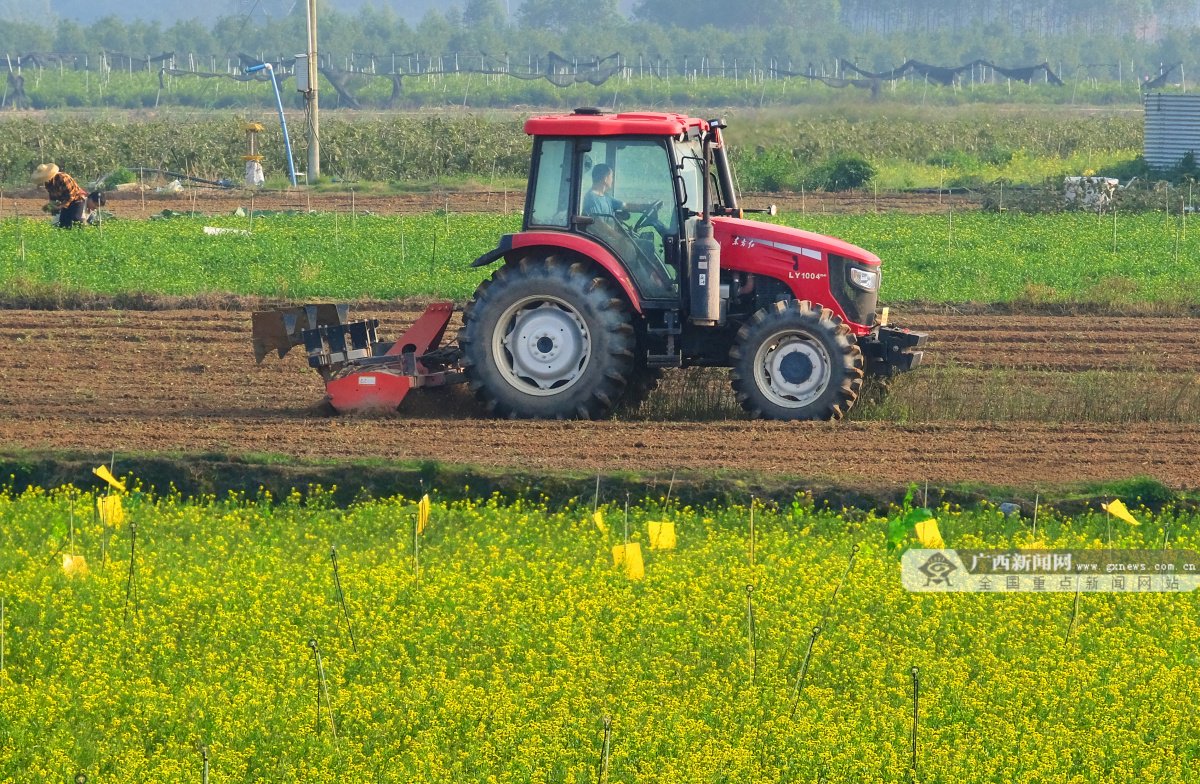 国色山河·春分|万象"耕"新,正是八桂大地好颜色|广西_新浪财经_新浪