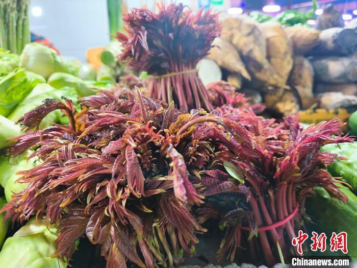 3月18日，在湖南长沙一菜市场内，香椿被蔬菜摊主摆在显眼位置。　中新社记者 唐小晴 摄