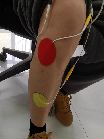 为什么叫肌电生物反馈肌电生物反馈刺激仪——康复利器，让肌肉不再被动！_https://www.jmylbn.com_新闻资讯_第2张