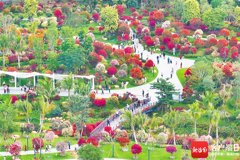 海南省_新浪财经_新浪网