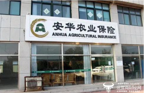 安华农险支公司在2024开年就收到了一张罚单,旗下