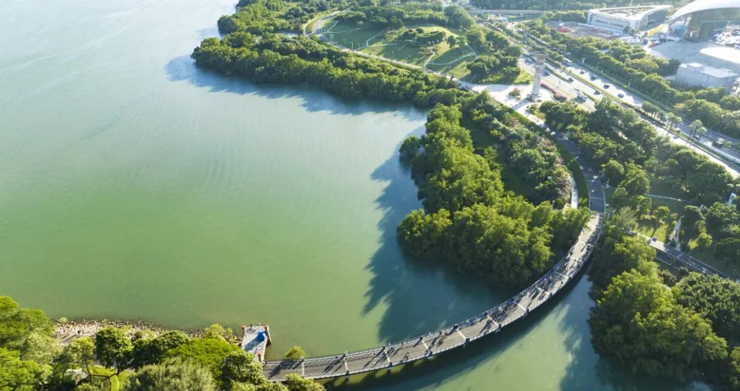 春分| 西岸哲学步道:大沙河原来如此深刻|深圳市_新浪财经_新浪网