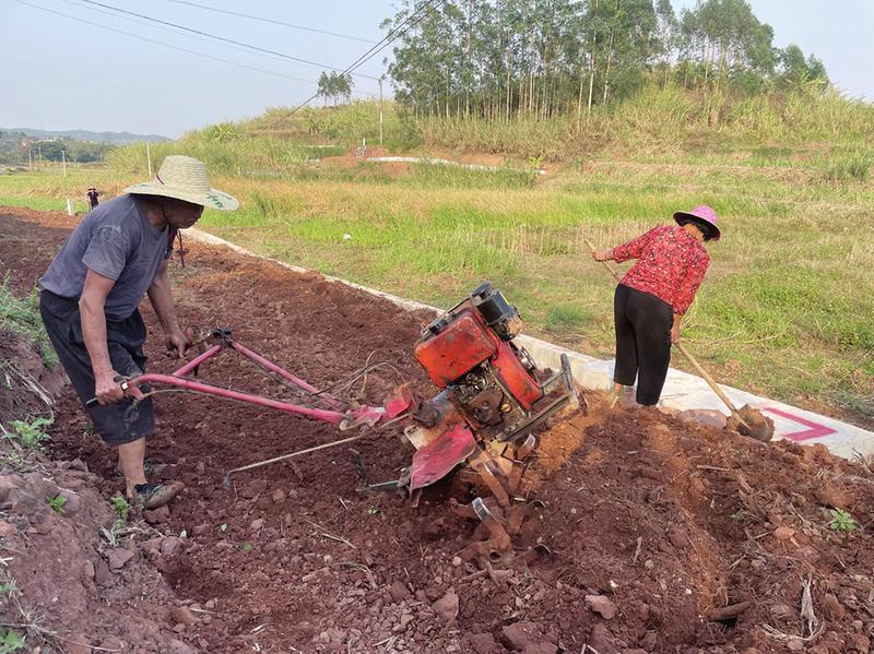 南阳镇村民正在操控手扶拖拉机翻耕土地(南阳镇供图)本报讯(记者赵敏