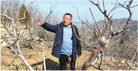 执着播绿三十载 他把荒山变青山|王安_新浪财经_新浪网