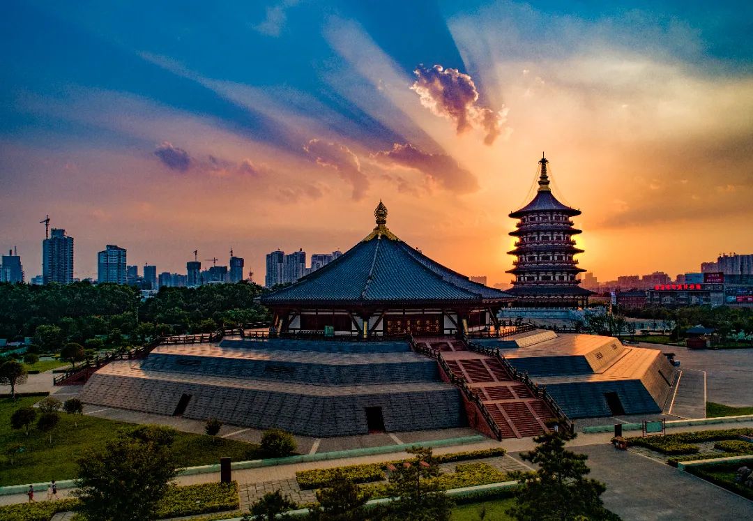 牡丹花已开答应我一定要来一趟洛阳