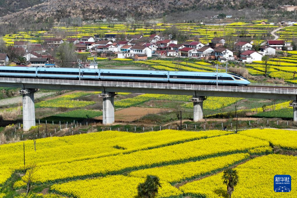 开往春天的列车|列车_新浪财经_新浪网