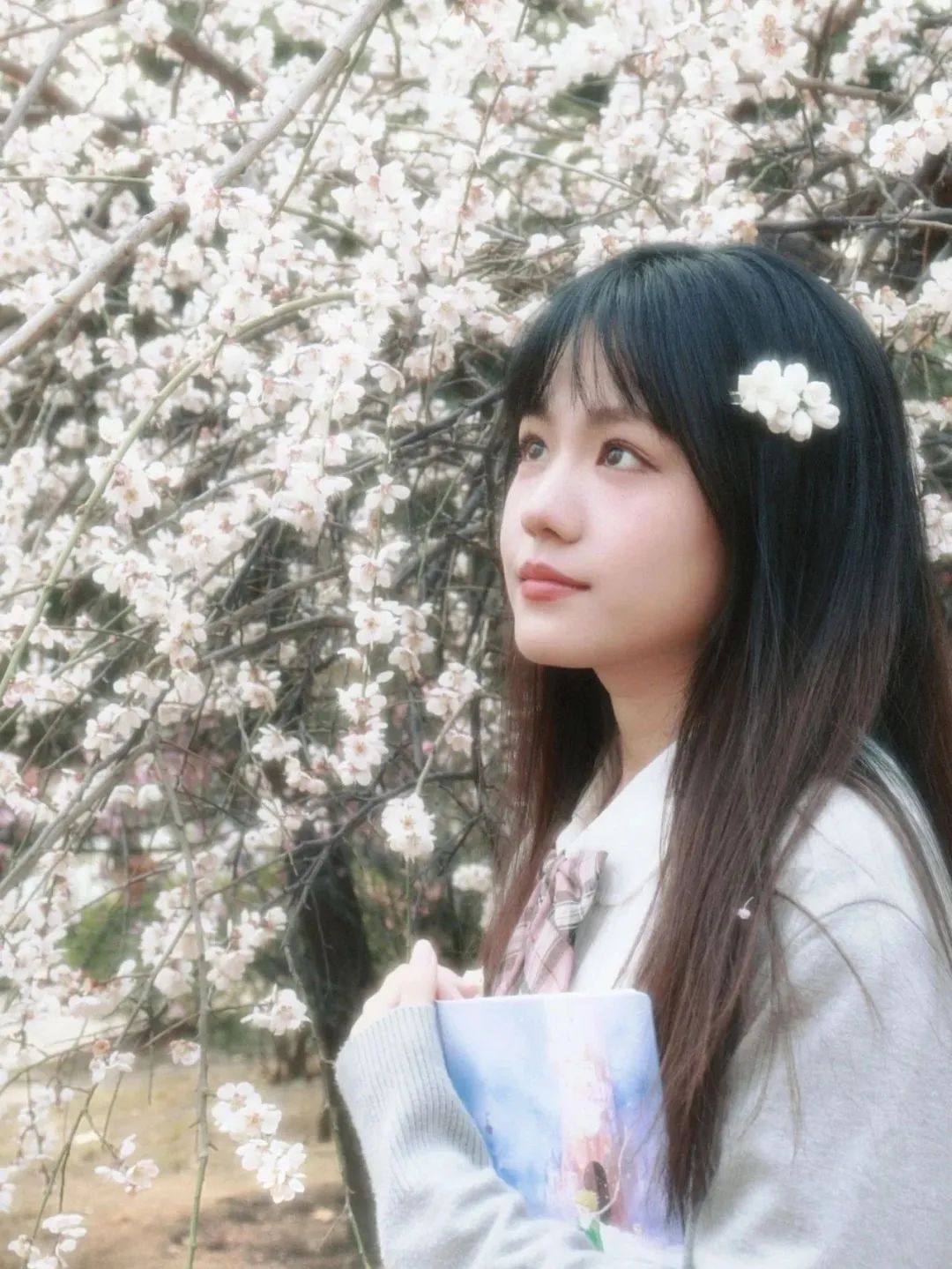 郑州大学即刻选出你心中最美高校"校花"吧动动小手 在文末千姿百态各