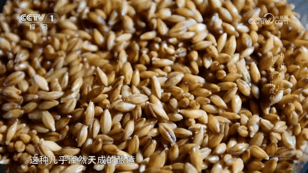 图源/《中国酿造》纪录片