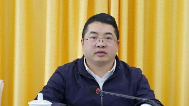 "80后"县长袁迎凯,主动投案_新浪财经_新浪网