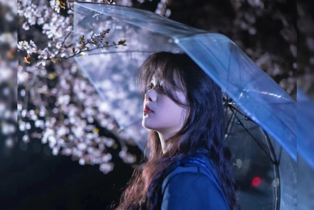 南阳理工学院安阳工学院河南财政金融学院河南城建学院平顶山学院黄淮