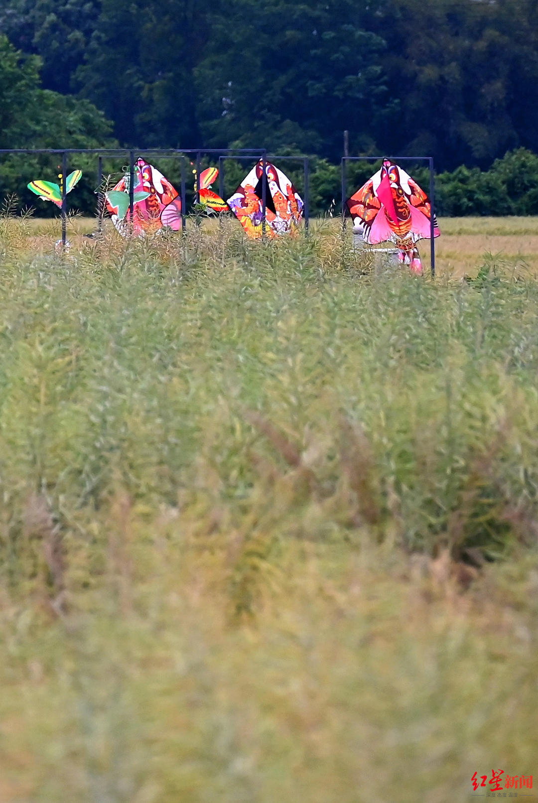追风筝的人一年营业额超百万他让四川风筝飞向国际