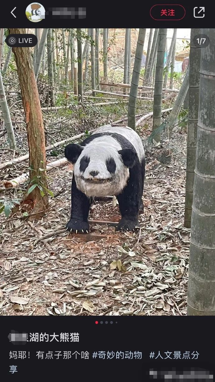 (via.@迷惑行为大赏)熊猫:我去,恐怖谷(via.