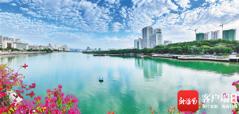 伴随着阵阵快门声,三亚河岸的生动画面被摄影爱好者陈清泉一一定格